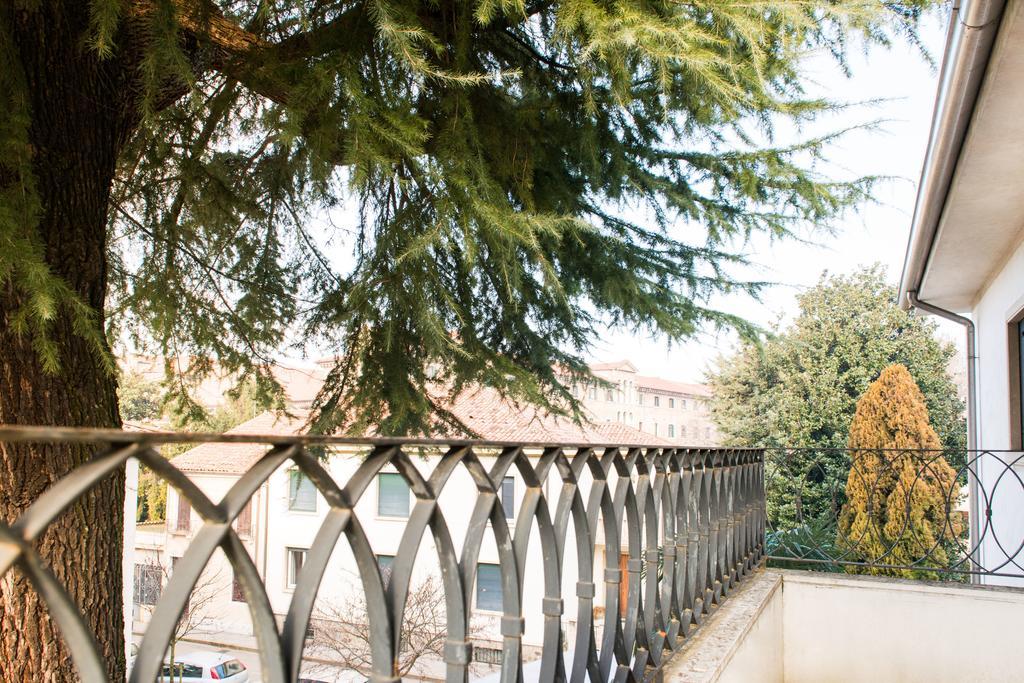 Myplace Prato Della Valle Apartments 파도바 객실 사진