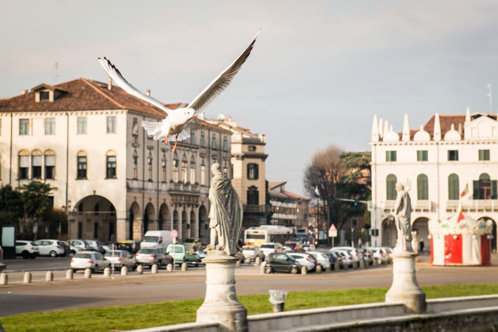 Myplace Prato Della Valle Apartments 파도바 외부 사진